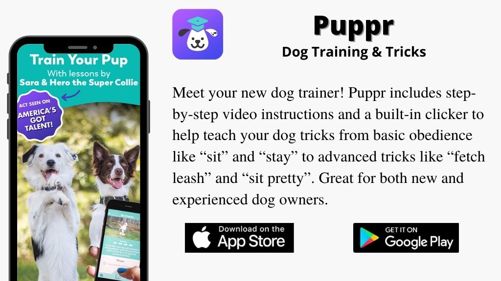 Puppr App: Best Dog Training and Tricks