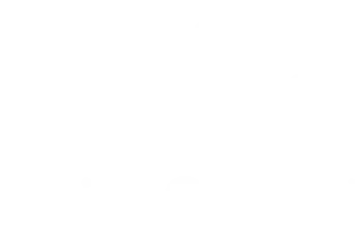 voicestar logo white